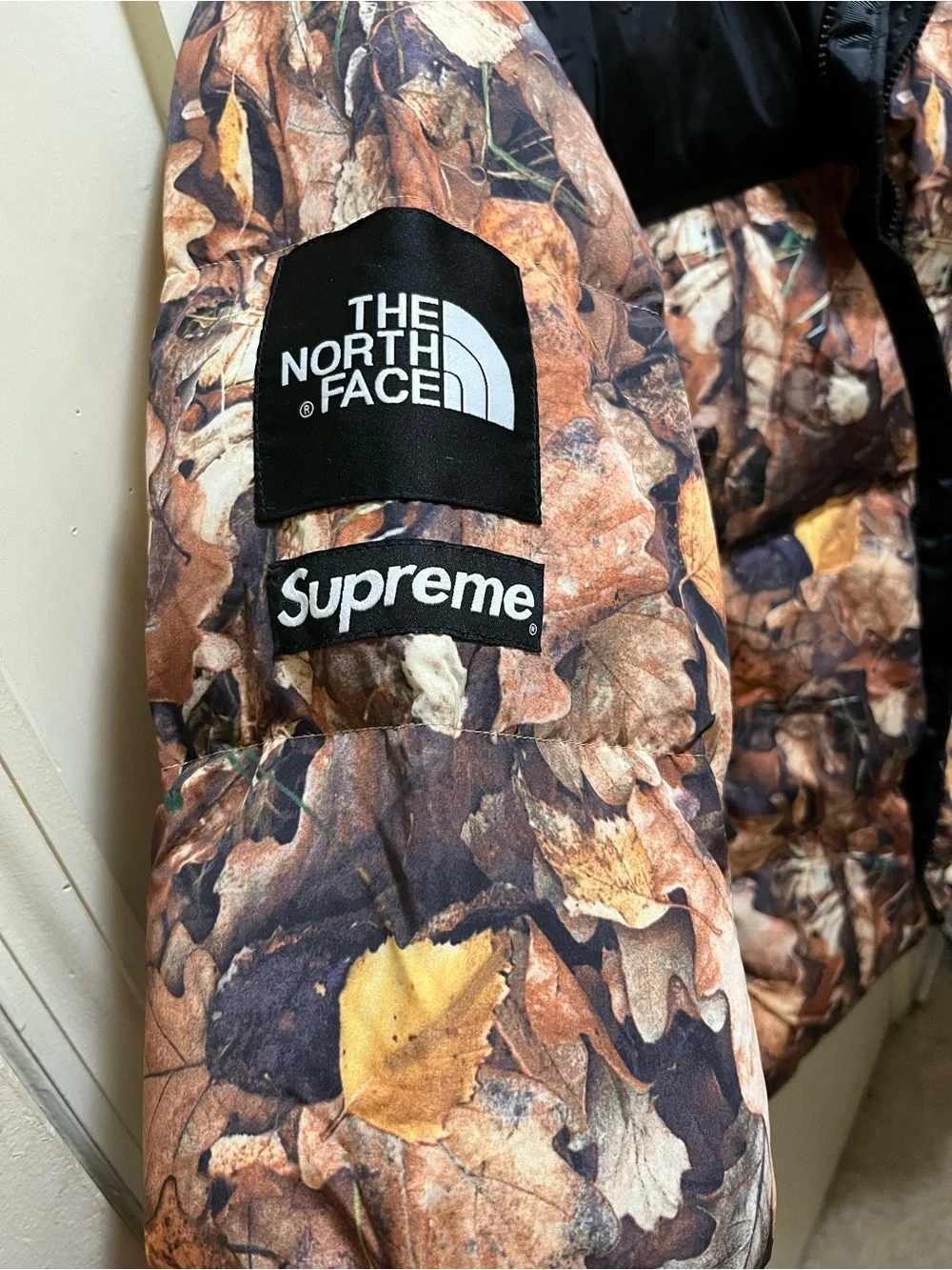 The North Face x Supreme Fall Leaf Print Jacket in Brown and Black